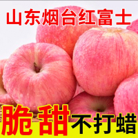 陈小四水果 正宗烟台红富士苹果 9.5-10斤带箱 75-80mm 新鲜水果 山东烟台苹果