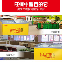 星星(XINGX)SCD-242CY双温冰柜商用大容量圆弧透明玻璃门保鲜冷藏冷冻展示柜超市冰淇淋雪糕柜多篮筐冰柜
