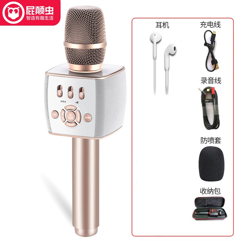 屁颠虫(HIFIER)F2话筒带音响一体手机全民K歌蓝牙无线家用电视专业唱歌神器录歌麦克风香槟金 3.5音频接口