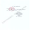 爱护佳(aiHUjia)颈部医用固定带 颈椎矫正器固定器护颈套颈托医用热敷加绒颈部牵引按摩器护具(器械)