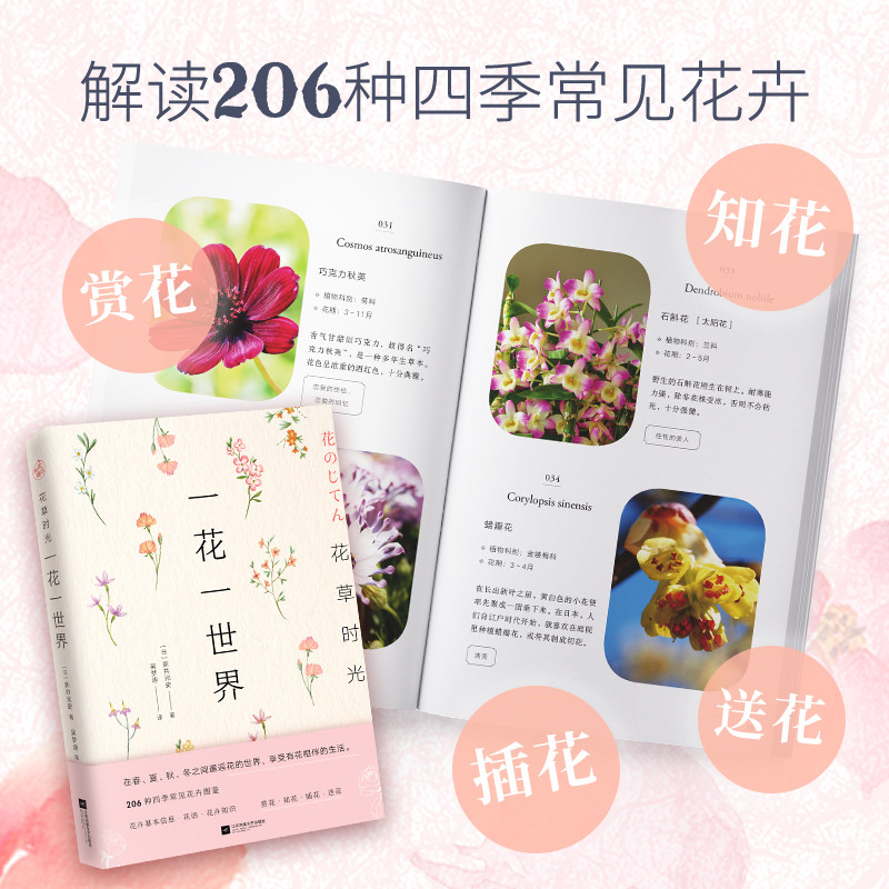 [醉染正版]花草时光-一花一世界快读 种花大全园艺书籍养花书籍花卉养殖的书鲜花养护种花书籍种花大全花卉种植栽培技术书新手高清大图
