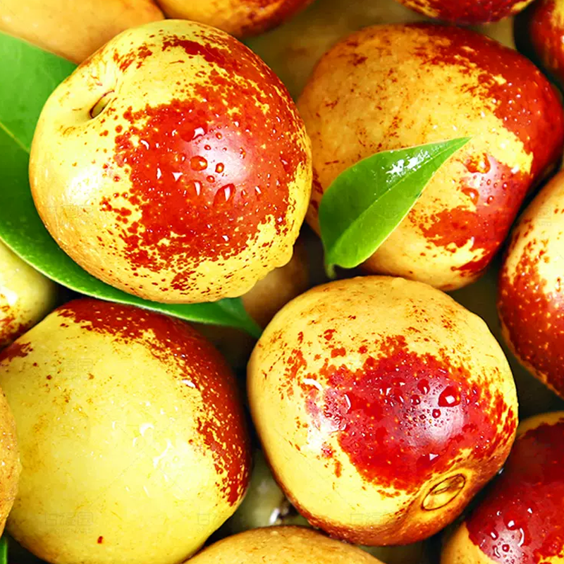 西沛生鲜山东沾化冬枣3斤大果箱装红枣子精选当季新鲜水果视频