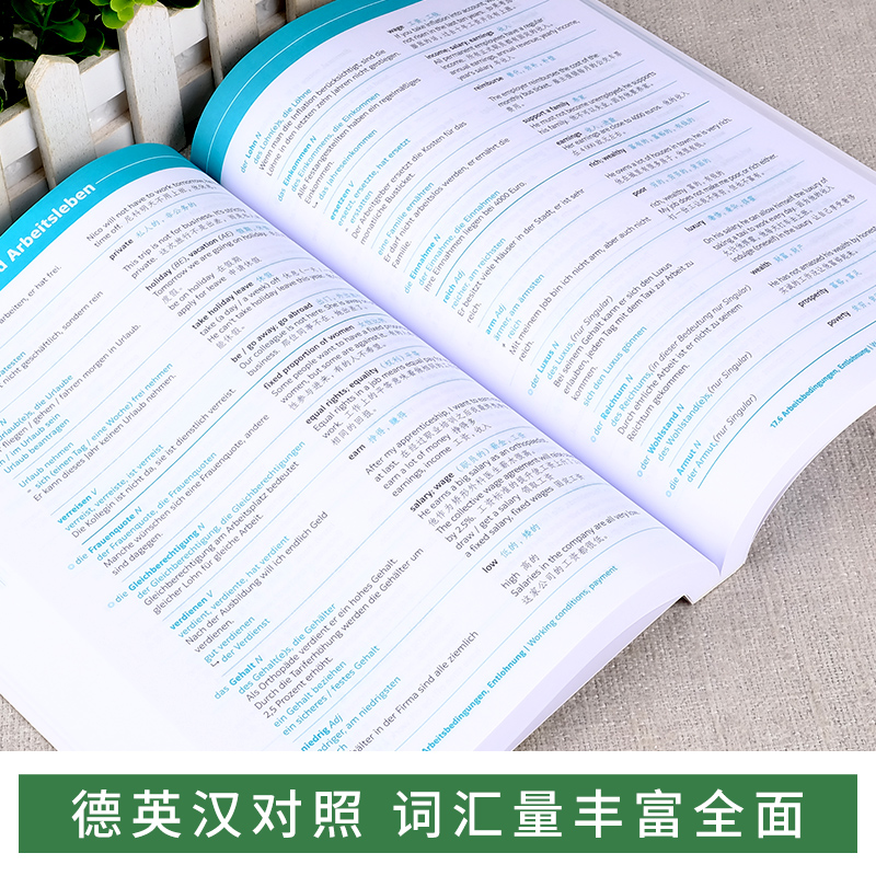 [正版]德语分类词汇大全A1-B1+(德英汉对照版) 海科克吕格贝尔编 同济大学出版社高清大图