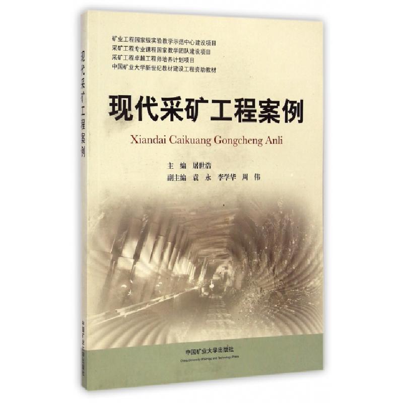 正版新书]现代采矿工程案例屠世浩9787564616595高清大图