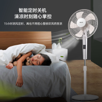 海信(Hisense)电风扇三档风速模式智能定时工业落地扇家用静音台式大风节能省电宿舍立式电扇FLY-AN4002