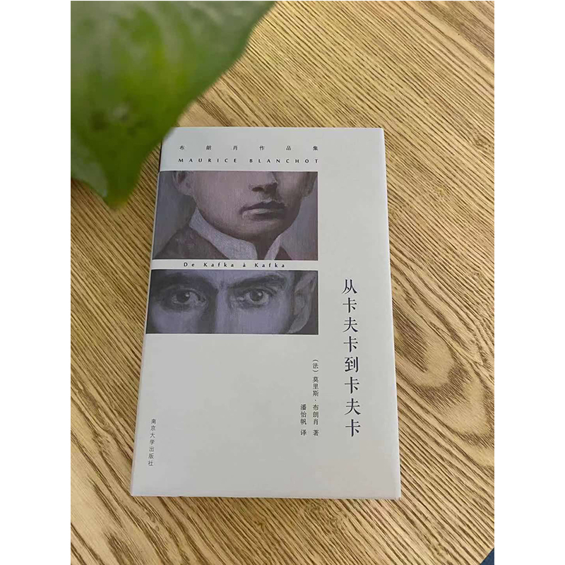 醉染图书从卡夫卡到卡夫卡9787305135095高清大图