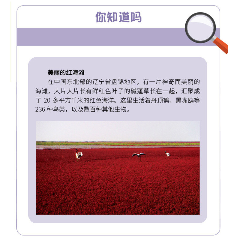 醉染图书发现之旅:哺乳动物(动植物篇)9787518331444高清大图