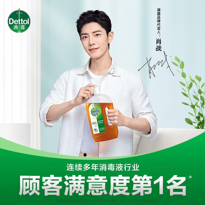 滴露Dettol 消毒液消毒水 750ml 杀菌除螨儿童家居室内 宠物环境消毒 衣物消毒液不含84酒精高清大图