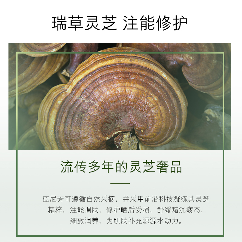 LERFM 灵芝焕能精华水200ml