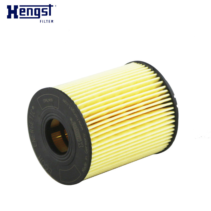汉格斯特(hengst)机油格滤清器纸芯E60H D110适用于菲翔博悦致悦领雅自由侠