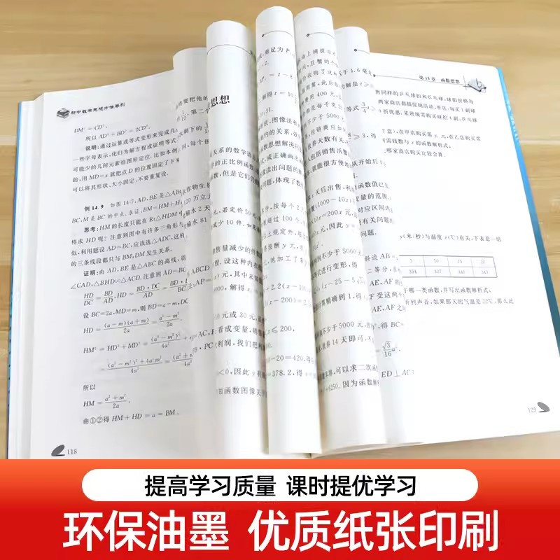 初中数学思想方法导引 [正版]初中数学思想方法导引孙厚康 浙大优学七八九年级上下册初中数学解题技巧辅导资料书中学生初一初