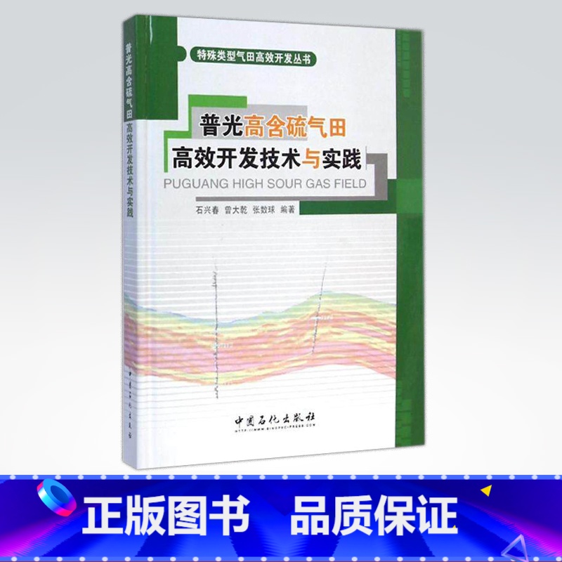 【正版】普光高含硫气田高效开发技术与实践 特殊类型气田高效开发丛书 总结高含硫气田高效开发的实践和技术成果 中国石化出