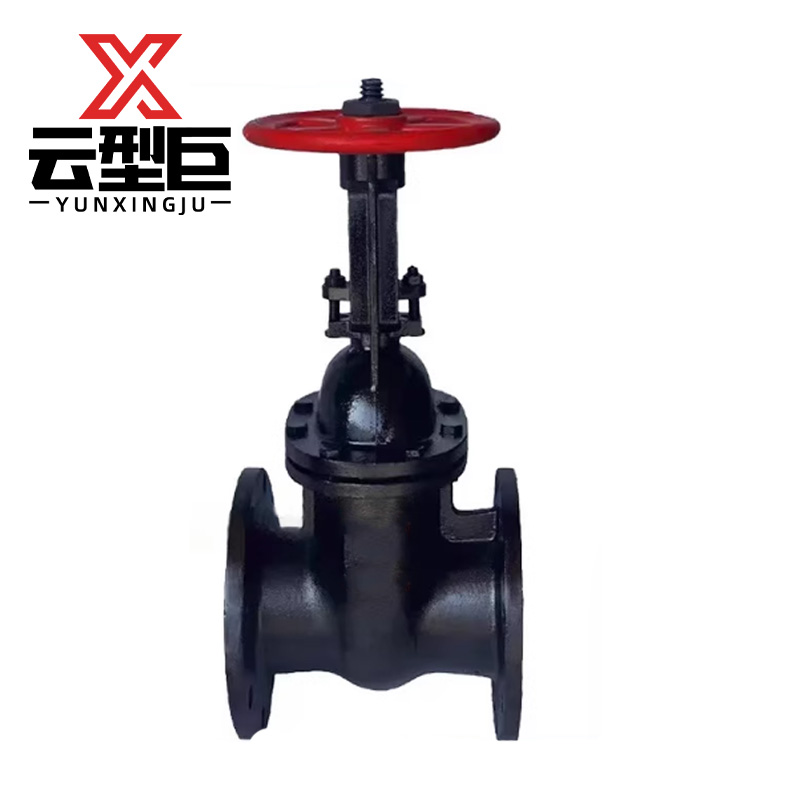 云型巨 铸铁法兰闸阀 Z45T-16明杆DN100 个