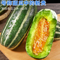 [熊猫鸟]博洋9号甜瓜 山东特产 净重3斤箱装 现摘现发 新鲜博洋 脆香酥瓜 当季新鲜水果 西沛