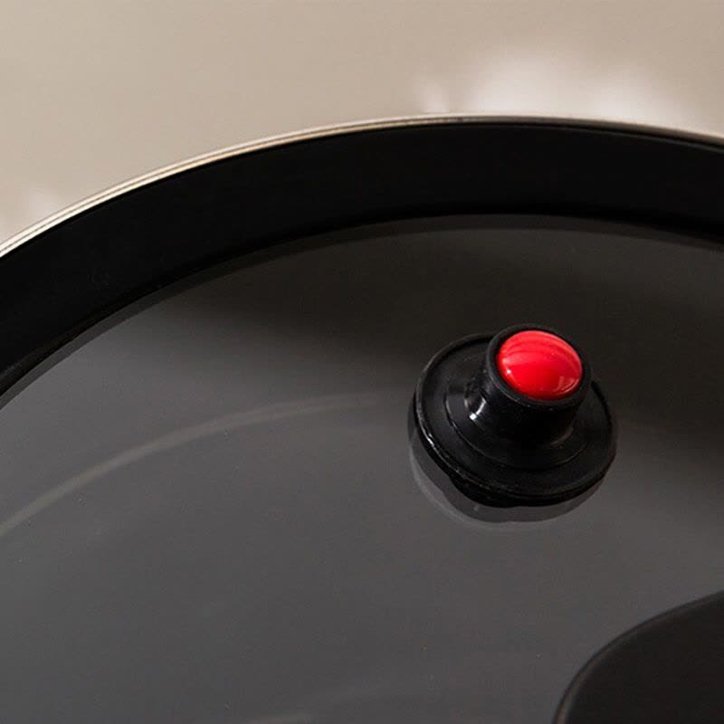 朗赫 克莱斯 珐琅微压锅LH-TG08图片