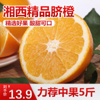 苗家十八洞 湘西纽荷尔脐橙5斤 单果径60-65mm 时令水果橙子坏果包赔