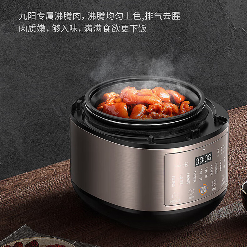九阳 Y-50C56 电压力煲 一锅双胆快速米饭 5L炖肉大容量 24小时预约高清大图