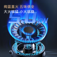 荣事达(Royalstar)JJZT-9659ACZK烟机灶具蒸箱烤箱空气炸文火炖多功能一体巨幕LED照明灯集成灶天然气