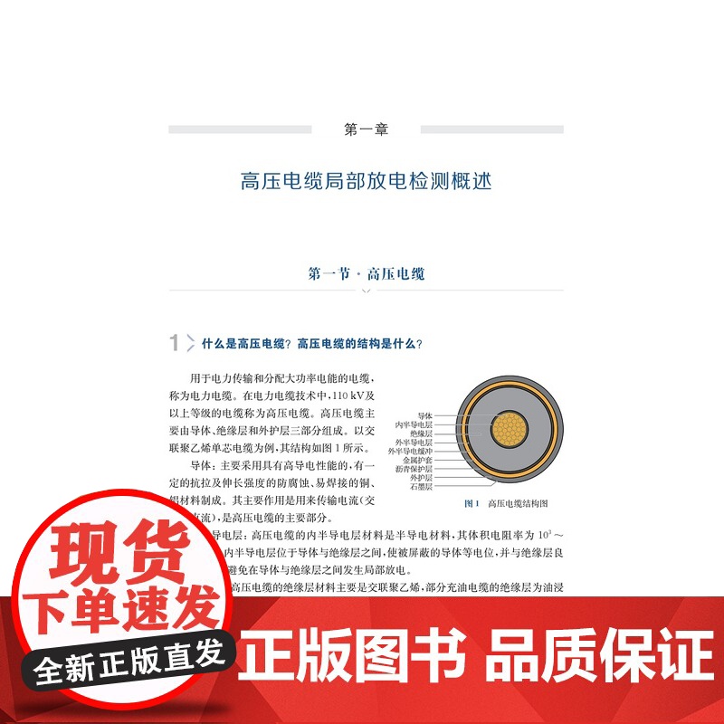 高压电缆现场局部放电检测百问百答及应用案例 概述检测原理现场作业要求应用实际效果电力从业人员指导阅读书上海科学技术出版社高清大图