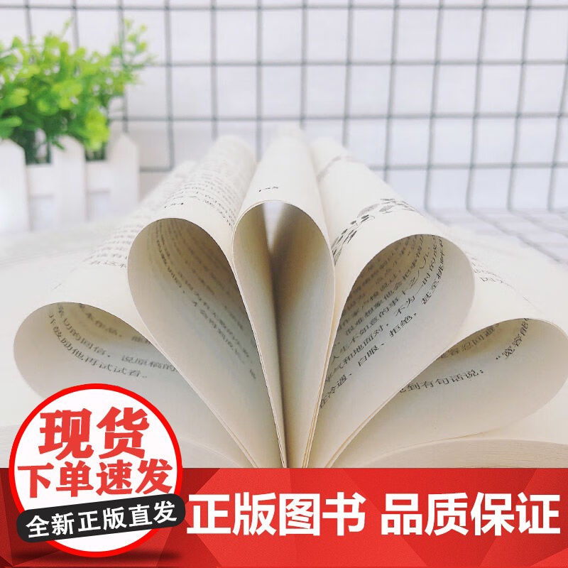 成为人见人爱的说话高手如何提升说话技巧的书提高情商人际交往心理学演讲与口才说话技巧书说话艺术聊天社交沟通技巧书籍书高清大图