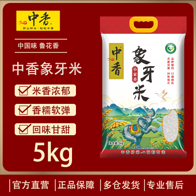 中香象牙香米5KG