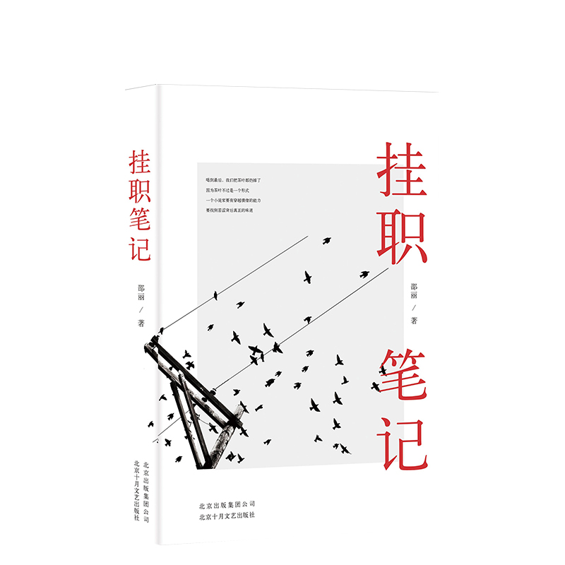 [醉染正版]JD 挂职笔记 邵丽 著 职场小说文学 现当代小说 正版图书高清大图