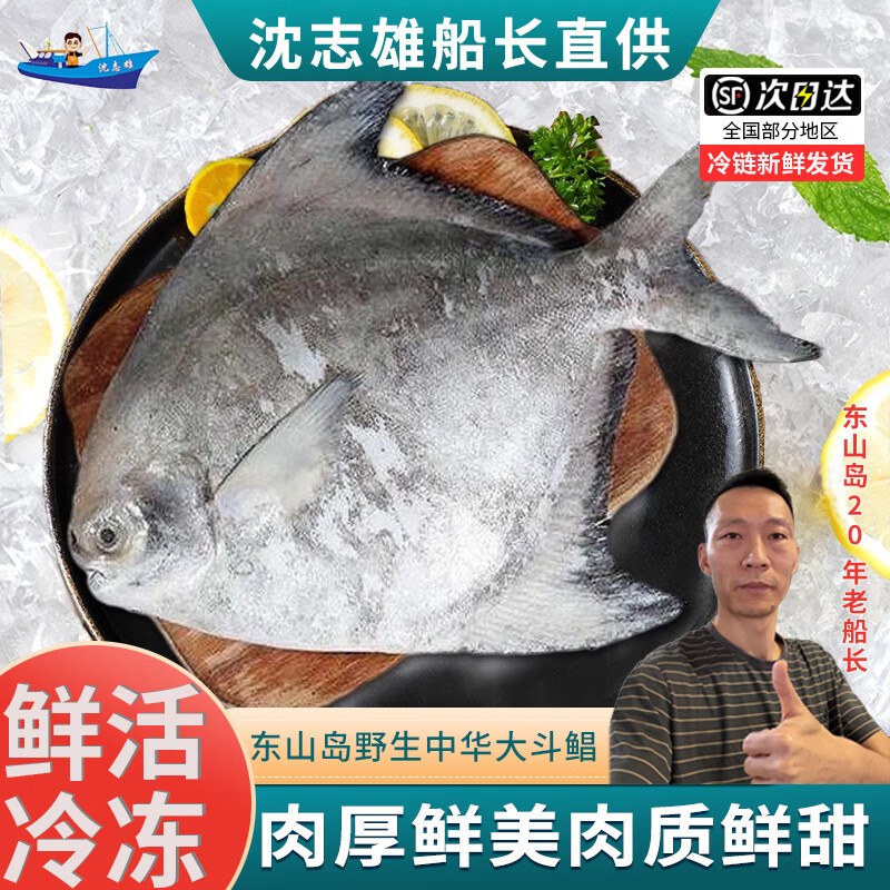 沈志雄福建澳角村海捕中华鲳斗鲳鱼平鱼镜鱼扁鱼中华鲳王年货年夜饭送礼 2条共1750g-1900g