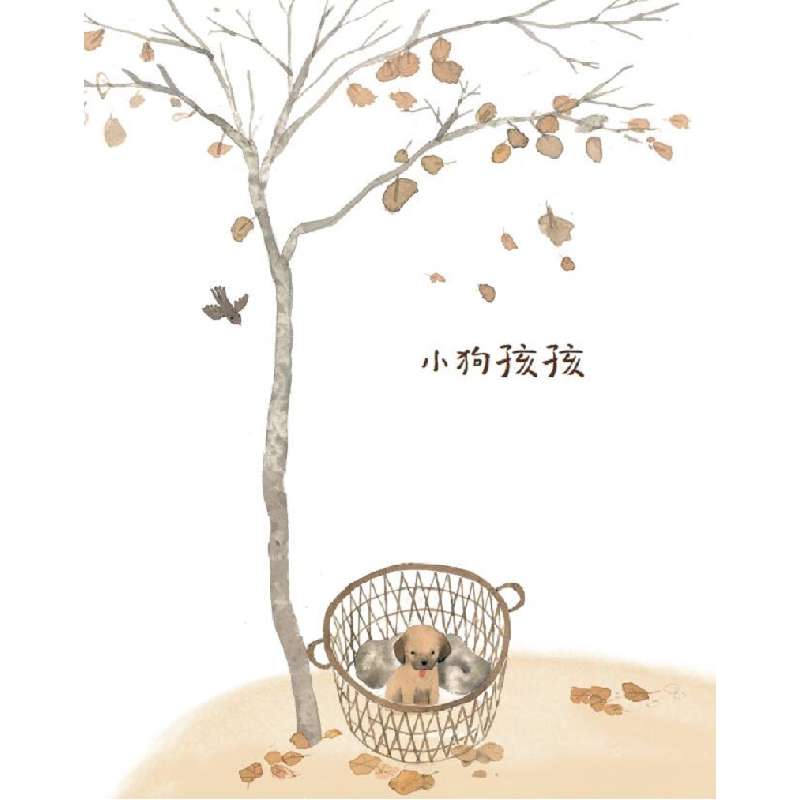正版新书]小狗孩孩黄蓓佳9787573600622高清大图