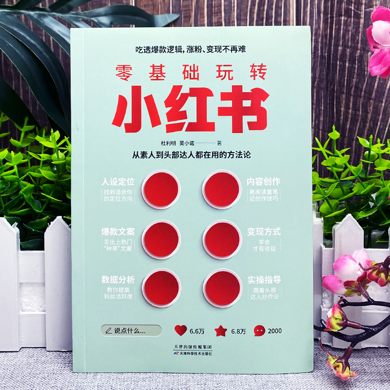 [正版]零基础玩转小红书 自媒体小红书营销账号运营全攻略 短视频文案策划涨粉实操变现指南 手机摄影零基础玩转短视频剪辑剪高清大图