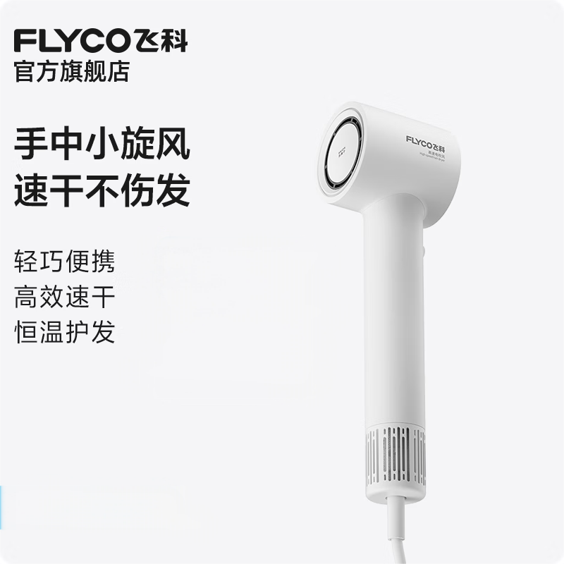 飞科(FLYCO)高速电吹风FH6370白色