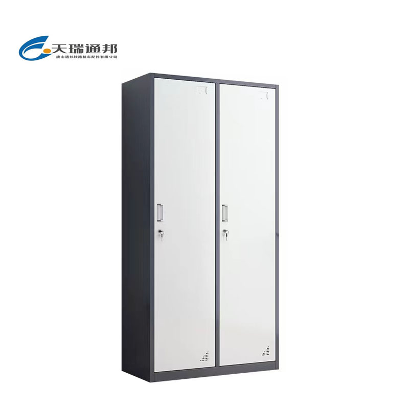 天瑞通邦 钢制套色更衣柜/文件柜 组 二门套色900*500*1850mm/组