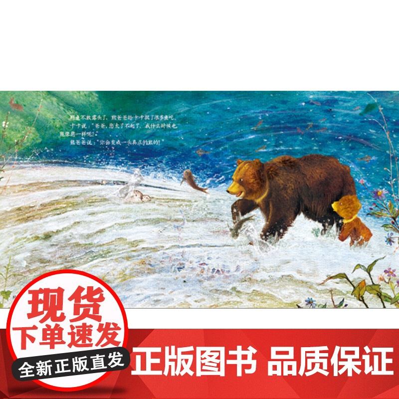 爸爸别怕精装绘本3-6岁适读适合亲子共读全国优秀儿童文学奖获得者白冰倾情力作荐中国少年儿童正版童书专家书单高清大图