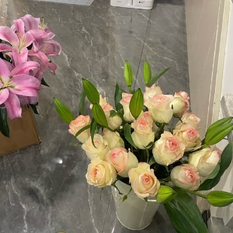 雏菊鲜花高清大图