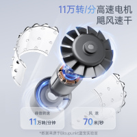 蓝宝(BLAUPUNKT)高速吹风机家用等离子护发大风力速干恒温电吹风机BP-FT01-BAI
