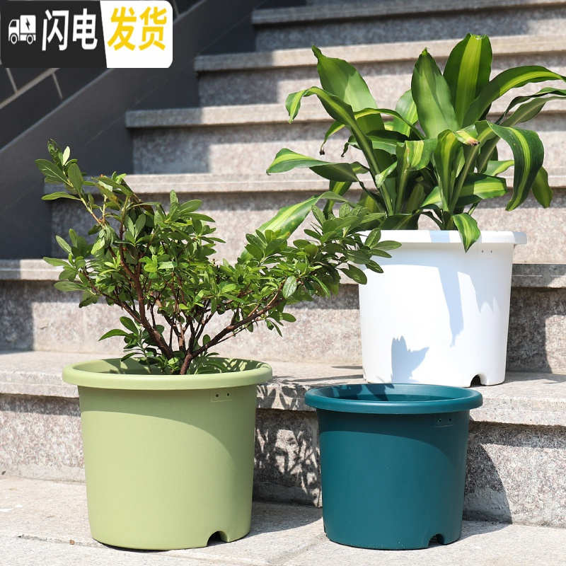 三维工匠加厚加仑盆树脂控根绿萝绣球月季种植盆爱丽丝圆口塑料花盆 5号浅型军绿(单花盆) 中等花盆容器