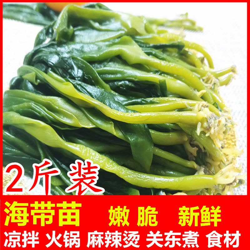 博多客 海带苗2斤 霞浦新鲜凉拌菜嫩海带芽海带薄嫩三秒火锅食材图片