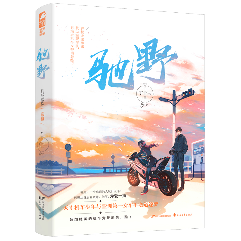 [正版]赠立卡+海报等 驰野 丁十三 大鱼文化女生都市青春文学热血赛车竞技爱情超甜高甜宠文言情小说书籍高清大图