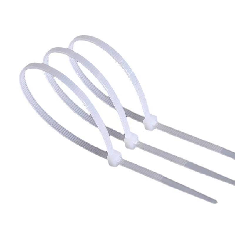 洛安斯 尼龙扎带 10*500/100条 袋高清大图