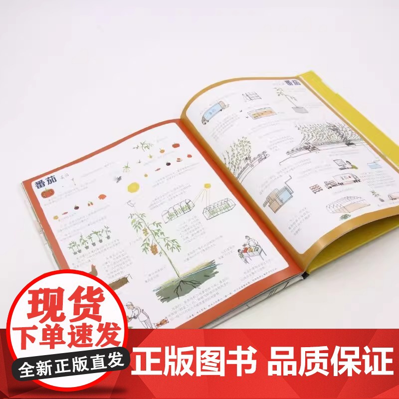 [央视网]我们的食物从哪里来 知否·世界 7种食物14个生产场景 为孩子实景展现身边常见食物的来源TY高清大图