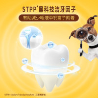 宝路狗粮 宠物狗零食 成犬狗狗磨牙棒洁齿棒泰迪茶杯犬柯基 75g*12包