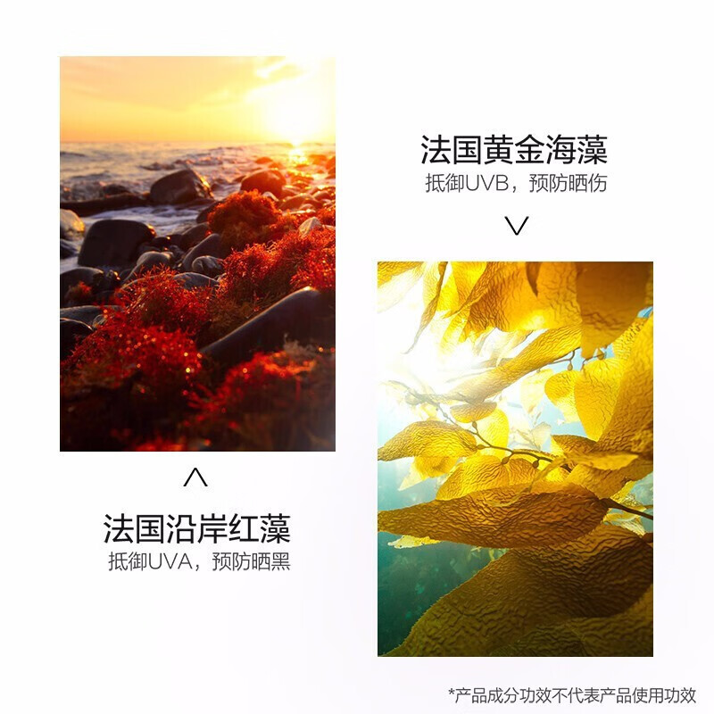 珀莱雅(PROYA)海洋柔皙莹白造型修颜霜SPF50+/PA+++55g隔离防晒清透不油高度防晒高清大图