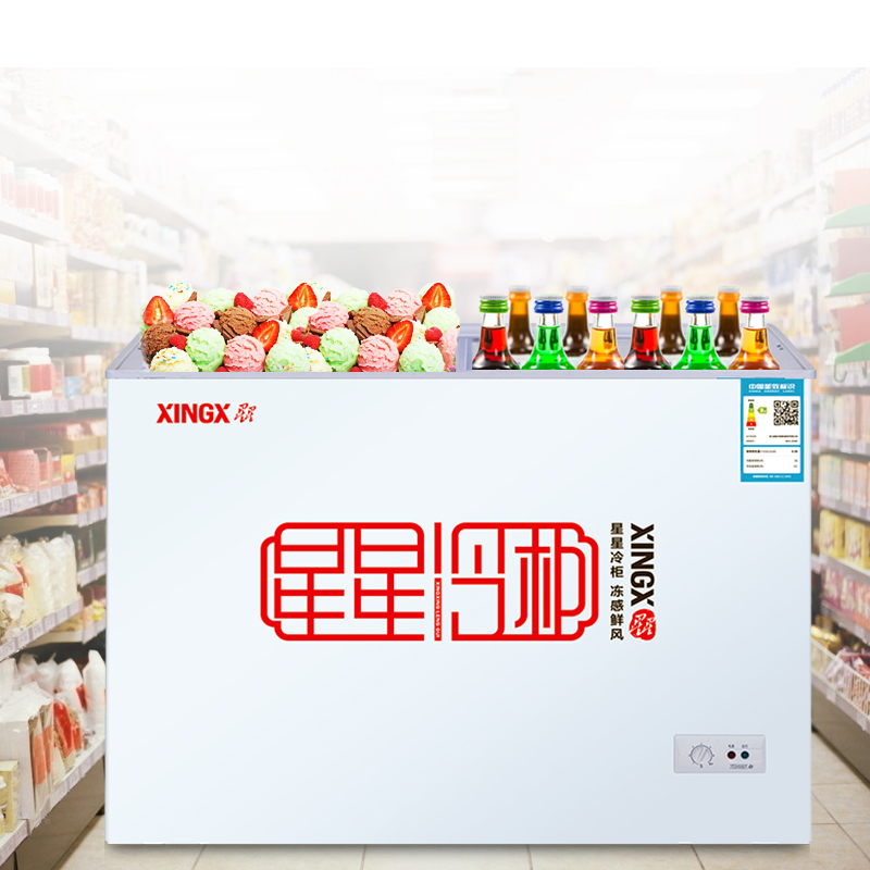 星星(XINGX) BCD-230HE 230升 230升商用卧式双温冷藏冷冻冷柜家用 内置玻璃门板保温 双温双箱大容积