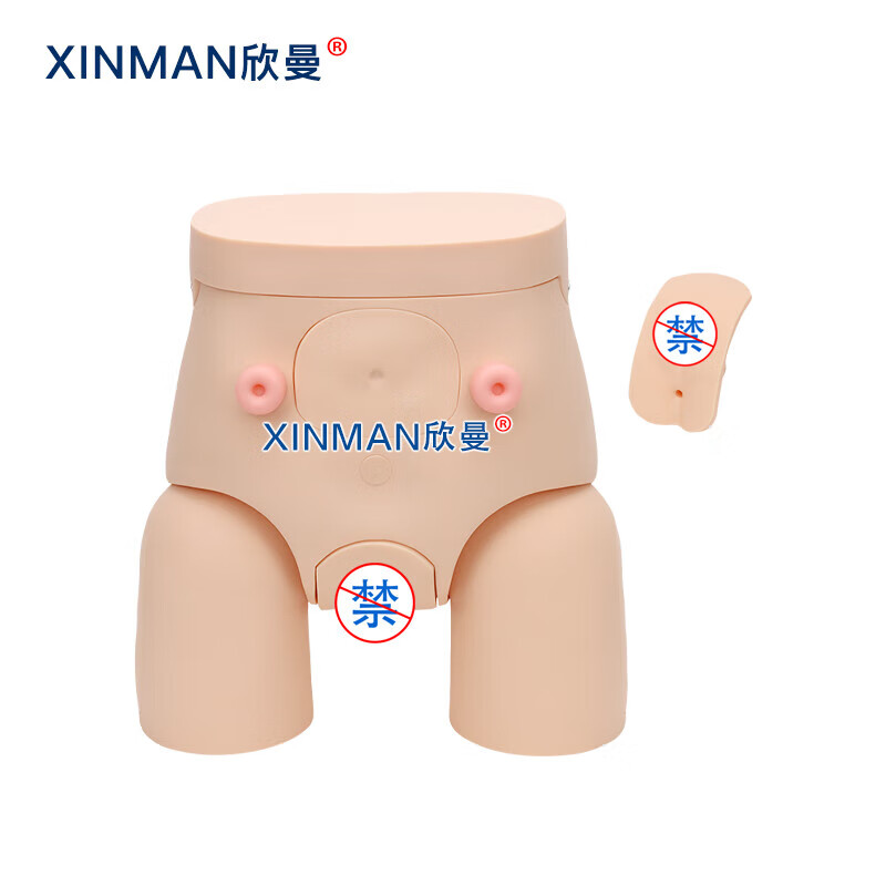 欣曼科教 高级男女性互换导尿操作训练模型 导尿练习模拟人XM-H12高清大图