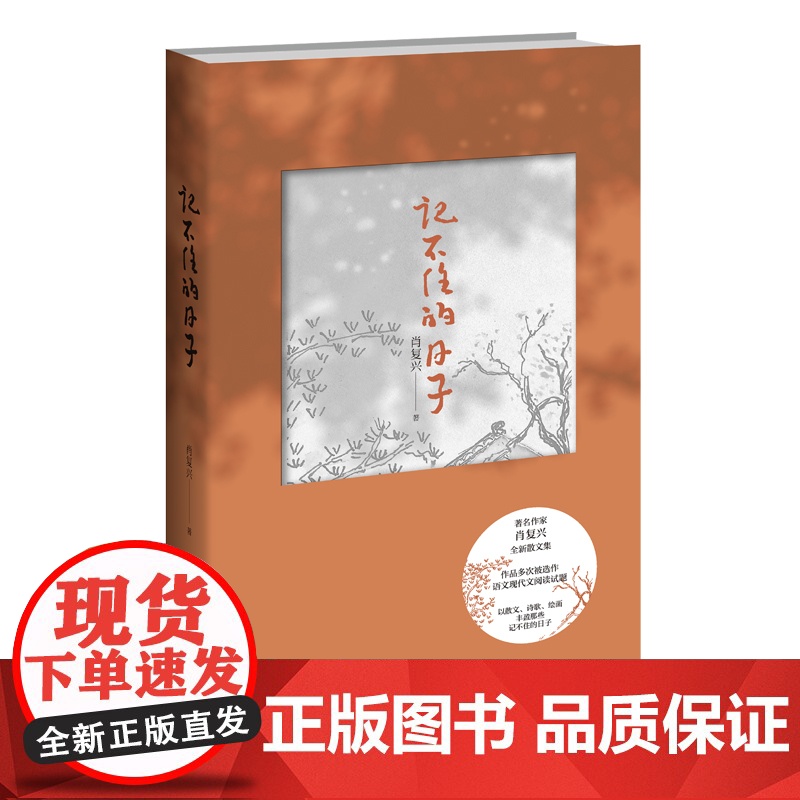 正版 记不住的日子 肖复兴散文集线装裸脊新星出版社文学书籍作者作品多次被选作语文现代文阅读试题高清大图
