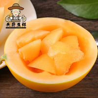 [一贤生鲜]陕西黄河蜜瓜 红肉蜜瓜 净重4.5-5斤装 3-4个装 香甜可口 新鲜水果应季 西沛国产特产