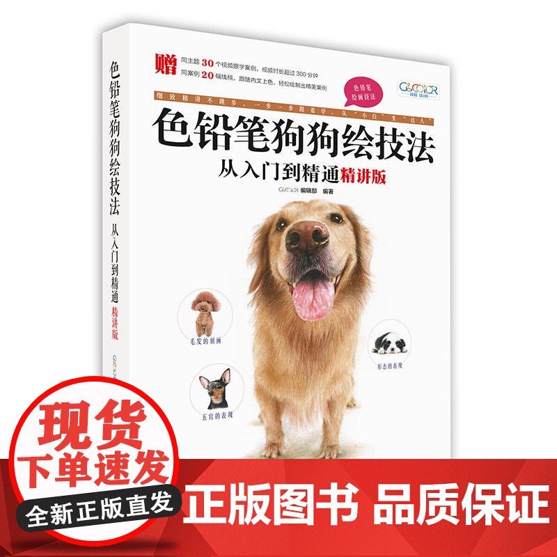 色铅笔狗狗绘技法从入门到精通(精讲版)高清大图