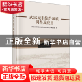 武汉城市综合地质调查及应用