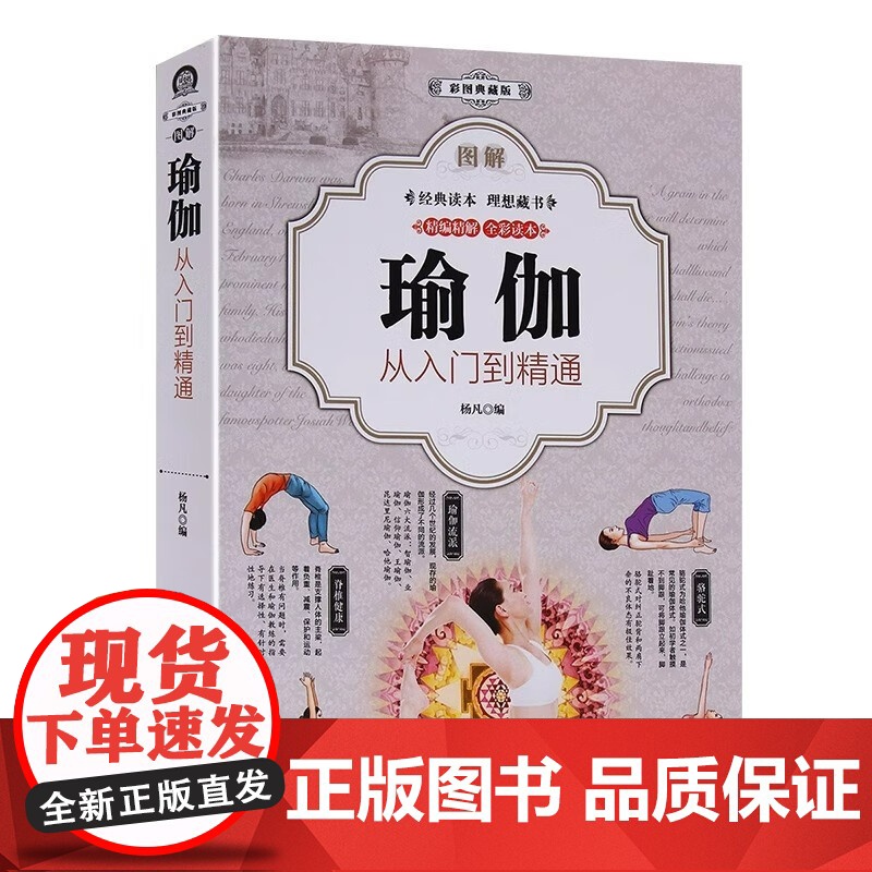 正版 全3册 图解瑜伽 彩图典藏版从入门到精通 快速入门养心强身 瑜伽健身技巧与方法全彩书籍高清大图