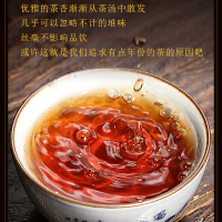 5沱/条共500g 新益号 三年干仓普洱茶 云南古树普洱茶熟茶叶 盒装 普洱沱茶 小沱茶