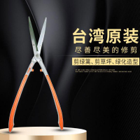 树枝剪大平剪大剪刀花卉园艺工具 (1个)